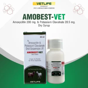 AMOBEST-VET DRY SYRUP