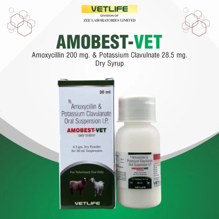 AMOBEST-VET AMOBEST-VET