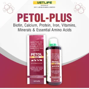 PETOL PLUS