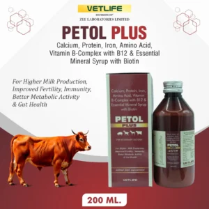 PETOL PLUS
