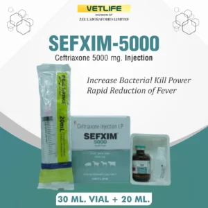 SEFXIM-5000
