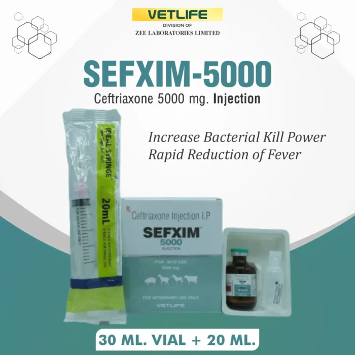 sefxim-5000