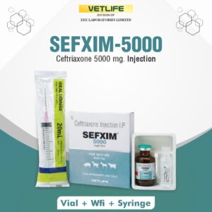 SEFXIM-5000