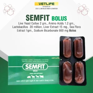 SEMFIT BOLUS