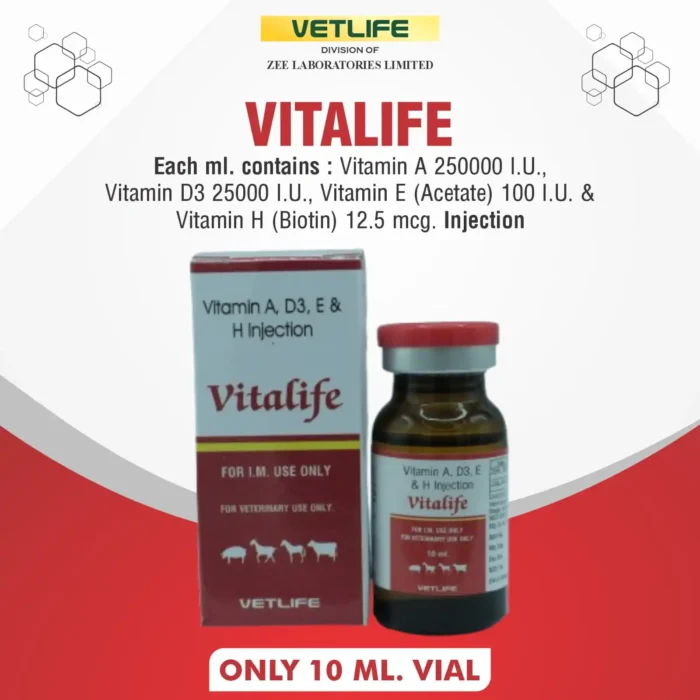 vitalife