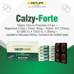 CALZY-FORTE Bolus