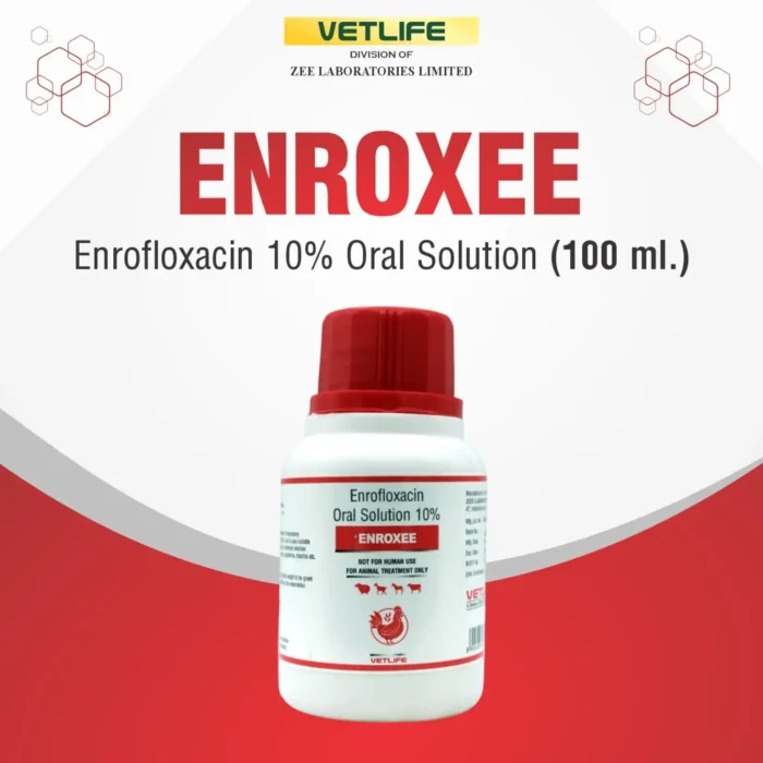 enroxee-100