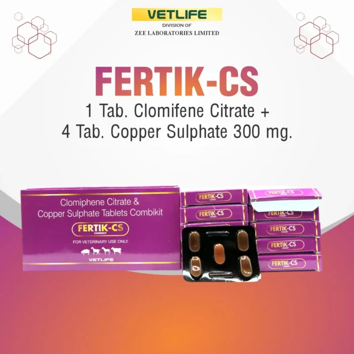 fertik-cs