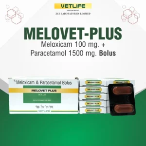 MELOVET PLUS