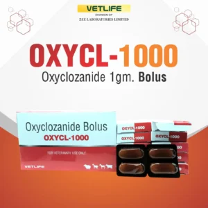 OXCYL-1000