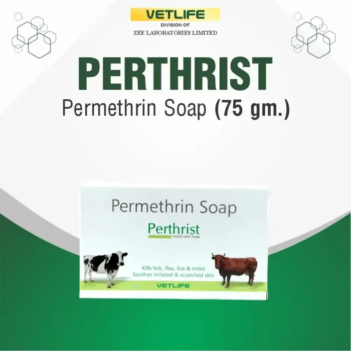 perthrist