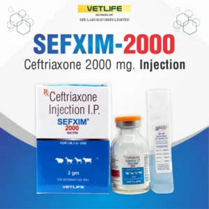 SEFXIM 2000