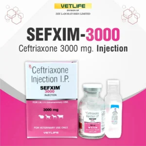 SEFXIM 3000
