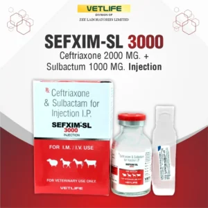 SEFXIM-SL 3000