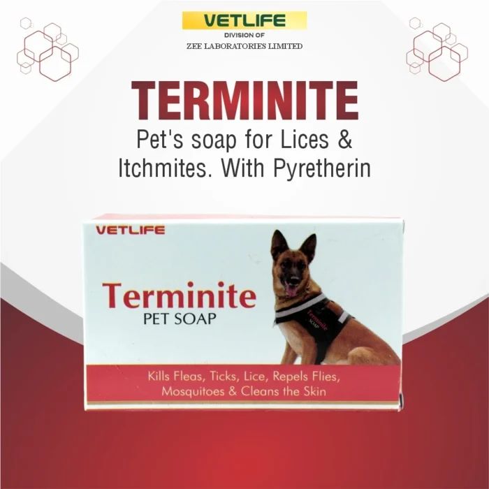 terminite