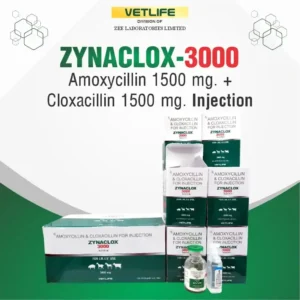 ZYNACLOX 3000 Injection
