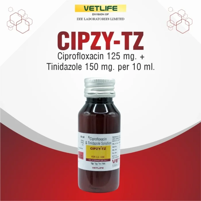 cipzy-tz