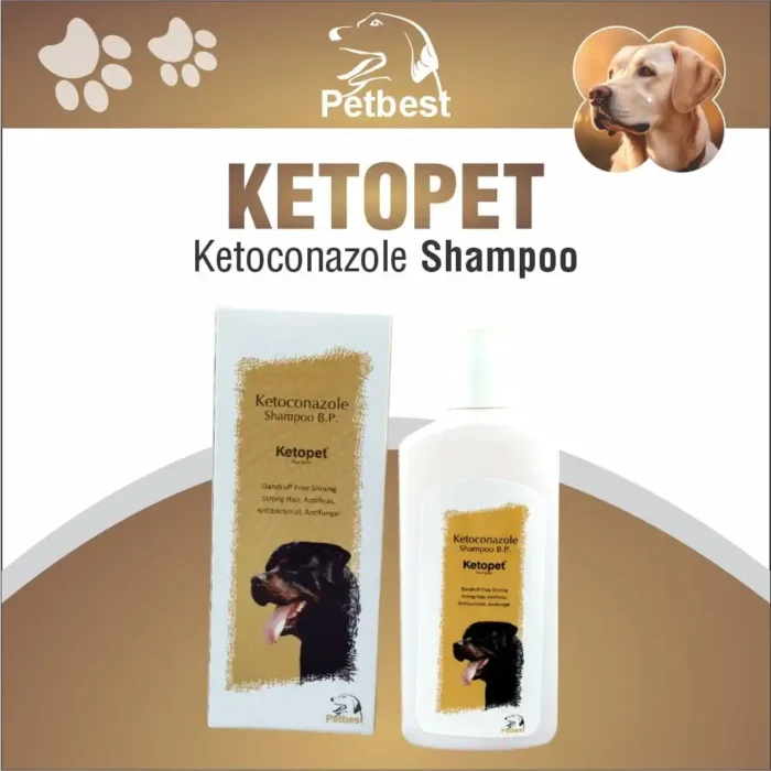 ketopet-shampoo