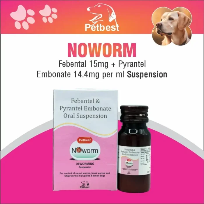 noworm noworm