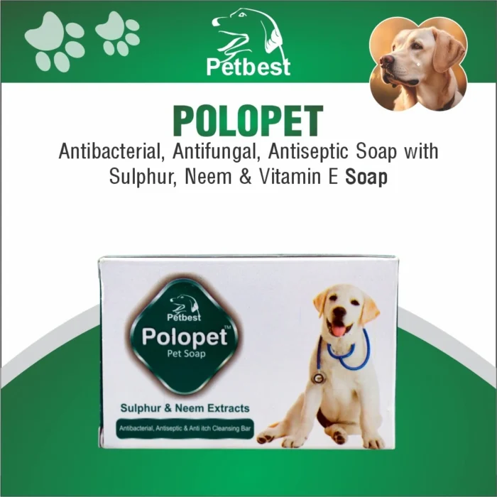 polopet