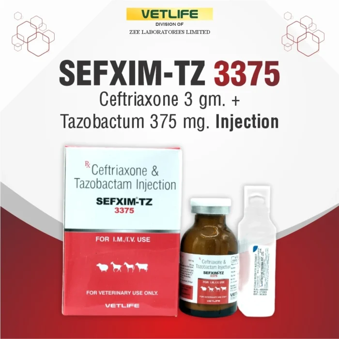sefxim-tz-3375