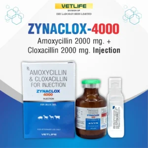 ZYNACLOX 4000