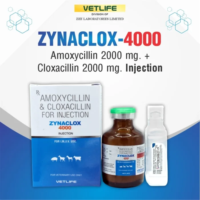 zynaclox-4000