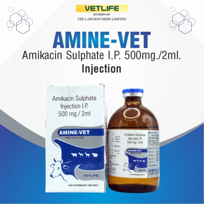 amine-vet