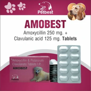 AMOBEST