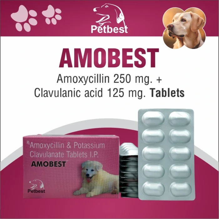 amobest amobest