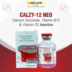 CALZY-12 NEO
