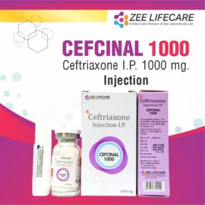 CEFCINAL 1000