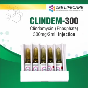 CLINDEM 300