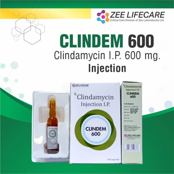 clindem-600 clindem-600