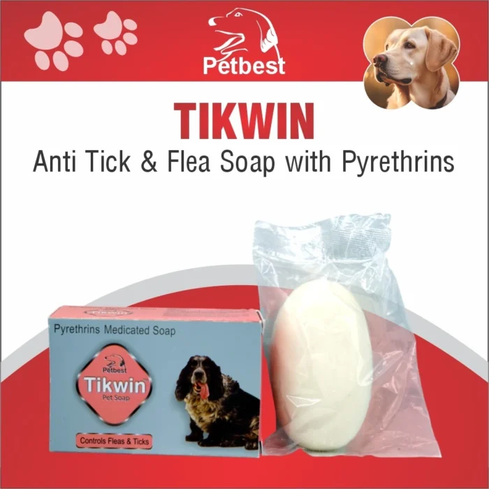 tikwin tikwin